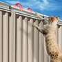 Oscillot Cat Proof Fence DIY Kit 2m Rivergum