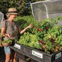 Large Raised Garden Bed with VegeCover