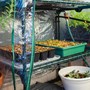 4 Tier Greenhouse with Misting System