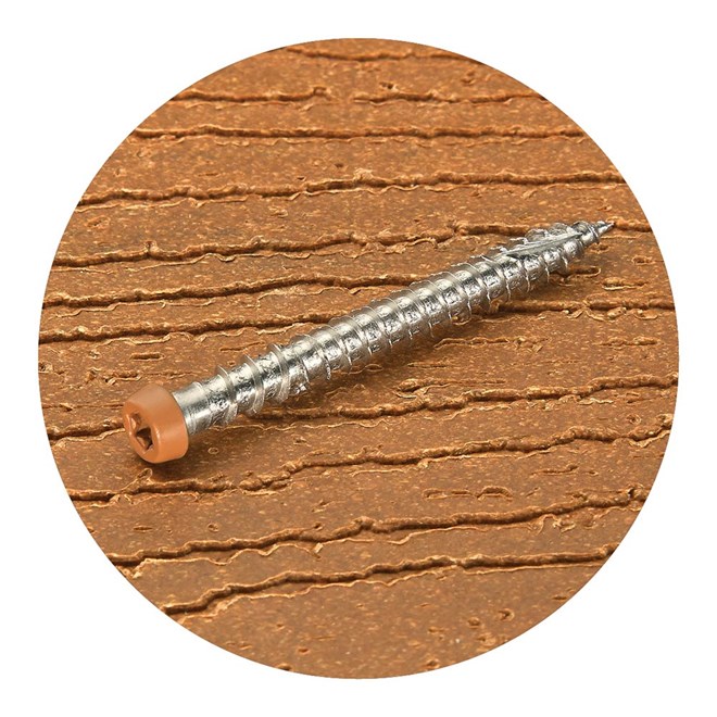 ModWood Xtreme Guard Timber Screws 305SS Golden Sand Box Of 100