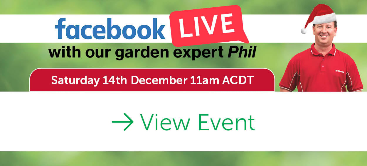 GardenLive-Dec-24.jpg